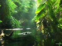 /album/photogallery/dzinature-027-jpg/