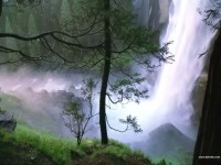 /album/photogallery/dzinature-035-jpg/