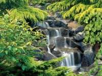 /album/photogallery/vancouver-british-columbia-canada-jpg/